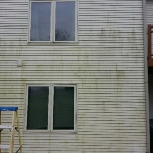Exterior Pressure Washing Softwash Madison Wisconsin