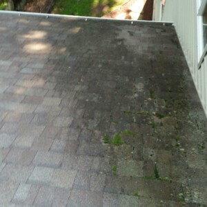 Lake Geneva Wisconsin Roof Cleaning
