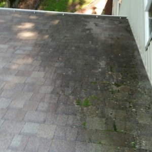 Lake Geneva Wisconsin Roof Cleaning
