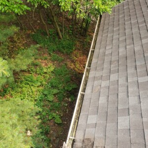 Gutter Cleaning in Whitewater Wisconsin