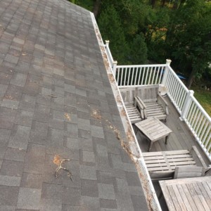 Gutter Cleaning in Whitewater Wisconsin
