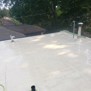 Softwashing A Flat Roof in Madison WI