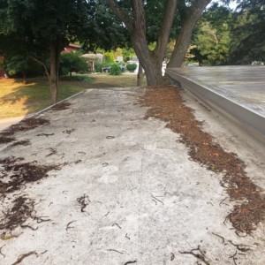 Softwashing A Flat Roof in Madison WI