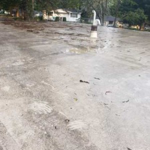 Softwashing A Flat Roof in Madison WI