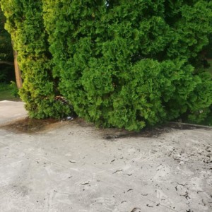 Softwashing A Flat Roof in Madison WI