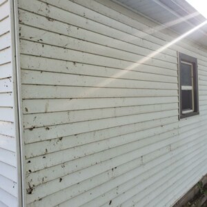 Softwashing and Gutter Guard Cleaning in Edgerton, Wisconsin