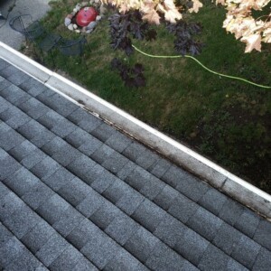 Softwashing and Gutter Guard Cleaning in Edgerton, Wisconsin