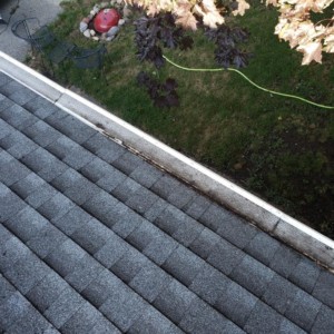Softwashing and Gutter Guard Cleaning in Edgerton, Wisconsin