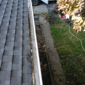 Softwashing and Gutter Guard Cleaning in Edgerton, Wisconsin