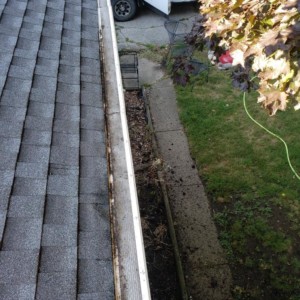Softwashing and Gutter Guard Cleaning in Edgerton, Wisconsin