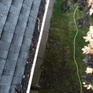 Softwashing and Gutter Guard Cleaning in Edgerton, Wisconsin