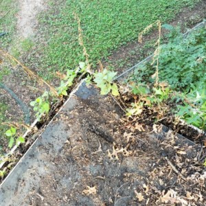 Gutter Cleaning in Madison Wisconsin