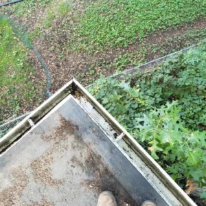 Gutter Cleaning in Madison Wisconsin