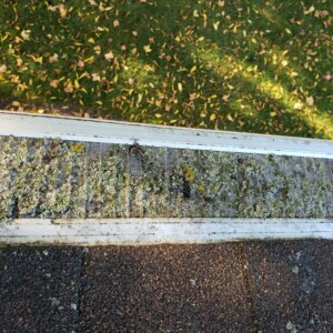 Gutter Cleaning in Maple Bluff Wisconsin
