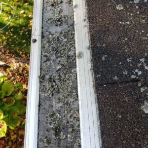 Gutter Cleaning in Maple Bluff Wisconsin