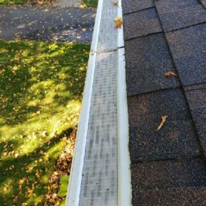 Gutter Cleaning in Maple Bluff Wisconsin